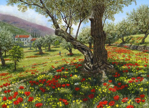 Painting - Andalucian Olive Grove