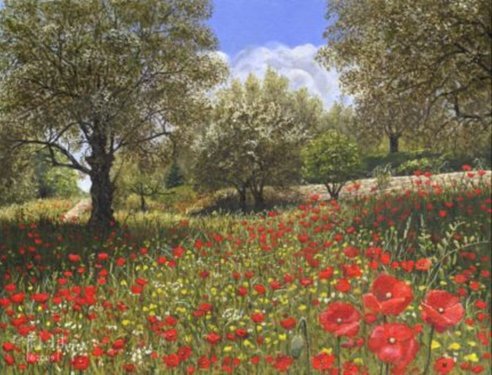 Painting - Andalucian Poppies, Spain